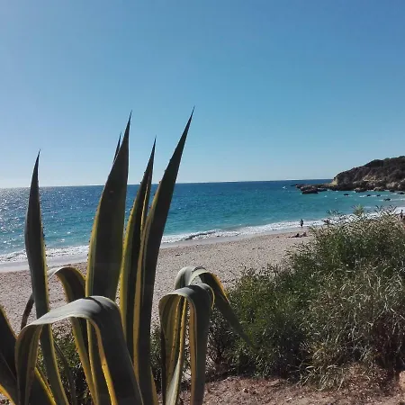 Centro Αλμπουφέιρα